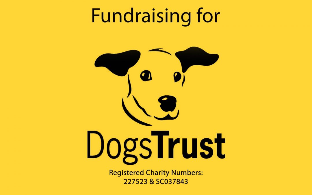 Ultra running for Dogs Trust charity